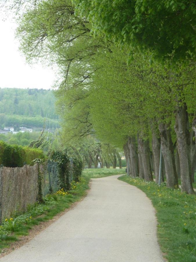 Ferienwohnung Zur Altmuehl 帕彭海姆 外观 照片